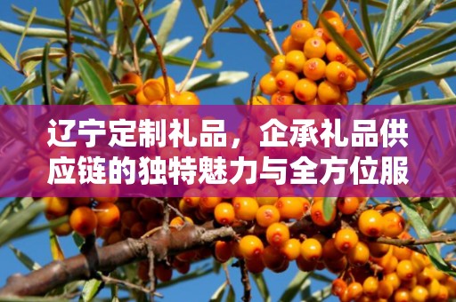 辽宁定制礼品，企承礼品供应链的独特魅力与全方位服务