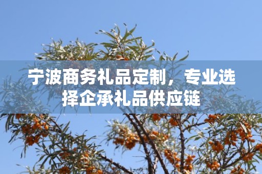 宁波商务礼品定制，专业选择企承礼品供应链